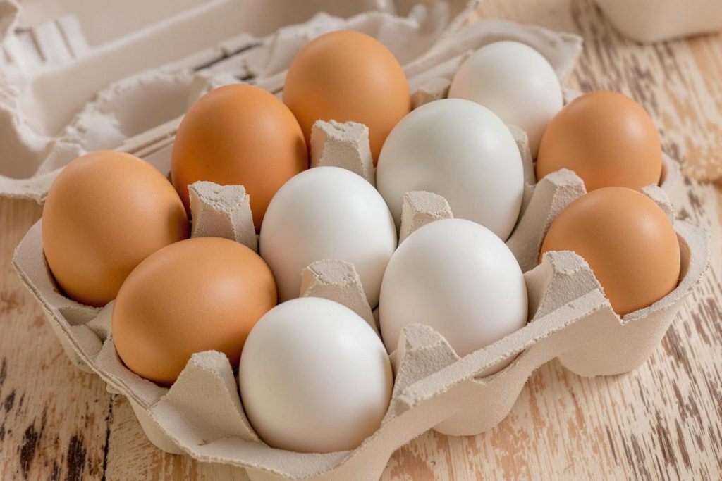 Quelles sont les caractéristiques des œufs de catégorie A