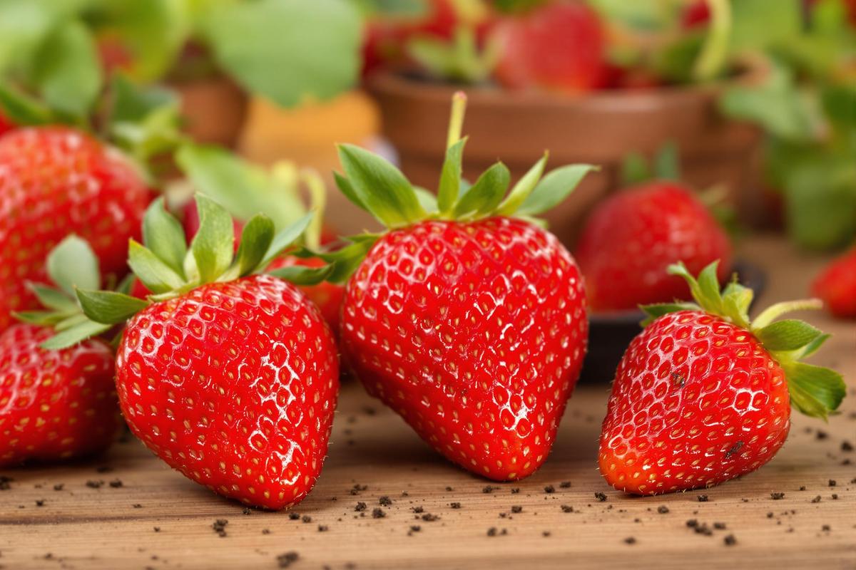 L'astuce ultime pour avoir des fraises gratuites toute votre vie !.jpg