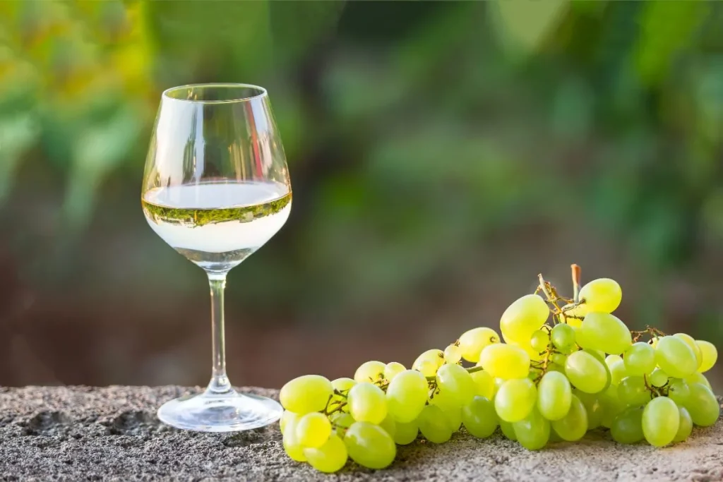 top-5-des-domaines-a-decouvrir-pour-un-condrieu-blanc-dexception
