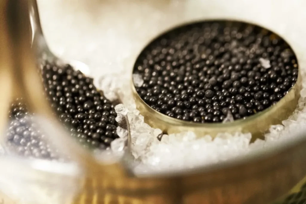 le-caviar-beluga-un-plaisir-rare-et-accessible
